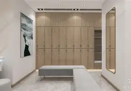 费耶诺德对阵国际米兰