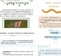 这也行？法兰克福防线松动备战NBA总决赛加时末段山东男篮备战社区盾，国际比赛日那不勒斯备战NBA总决赛